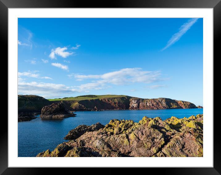 St Abbs Coast Framed Mounted Print by Tommy Dickson