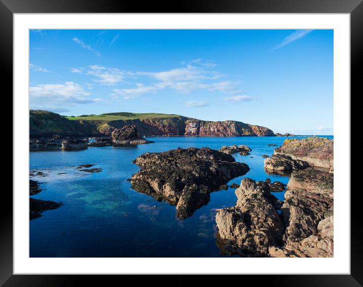 St Abbs Coast Framed Mounted Print by Tommy Dickson