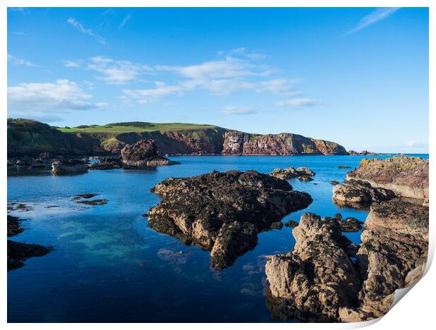 St Abbs Coast Print by Tommy Dickson