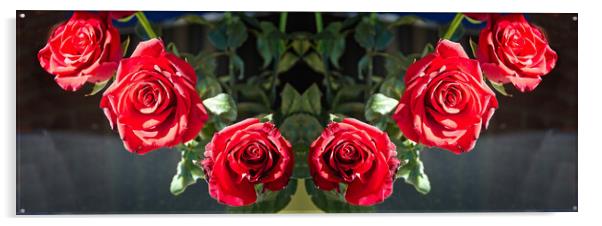 Six Pretty red Roses flower indoors display on a dark background  Acrylic by Geoff Childs