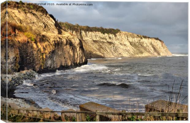 The cliffs at Robin Hoods Bay  Canvas Print by Lilian Marshall