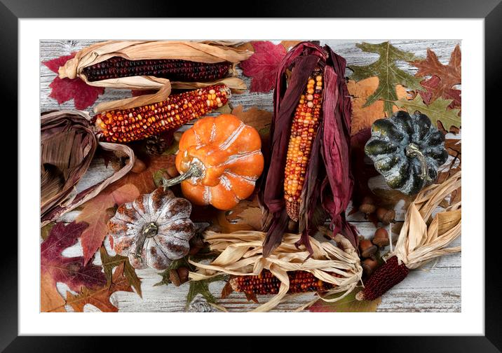 Filled frame format of seasonal decorations for the happy thanksgiving holiday  Framed Mounted Print by Thomas Baker