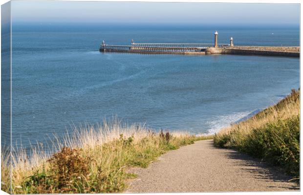 Pathway down to Whitby sands Canvas Print by Jason Wells