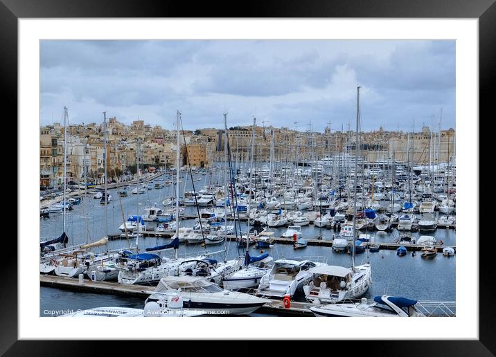 Valletta Harbour Marina Malta Framed Mounted Print by Diana Mower