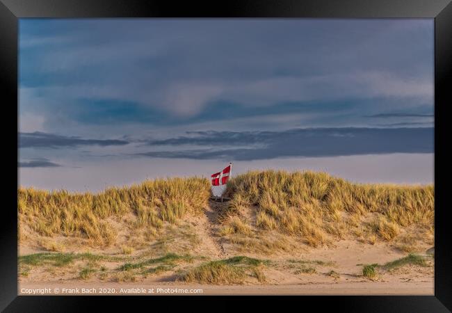 Danish flag waving behind dunes on Blaavand Beach, Denmark Framed Print by Frank Bach