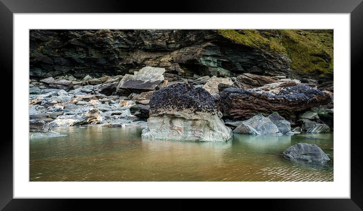 Reflections Framed Mounted Print by David Wilkins