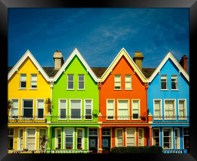Colours Of Whitehead Framed Print by Alan Campbell