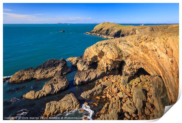 Deer Park Nr Marloes Pembrokeshire Print by Chris Warren