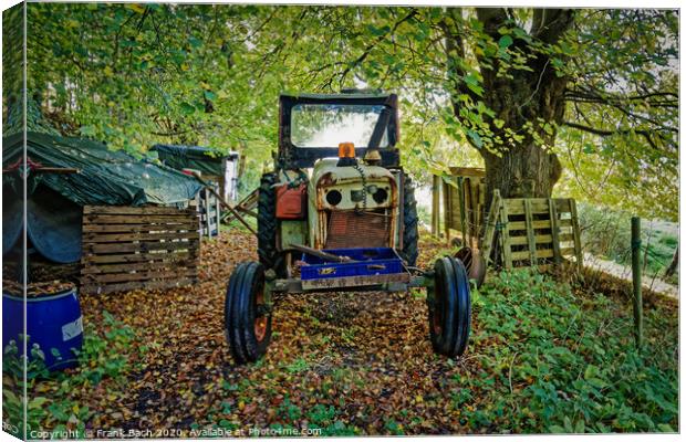 Worn out tractor placed in an autumn forest, Denmark Canvas Print by Frank Bach