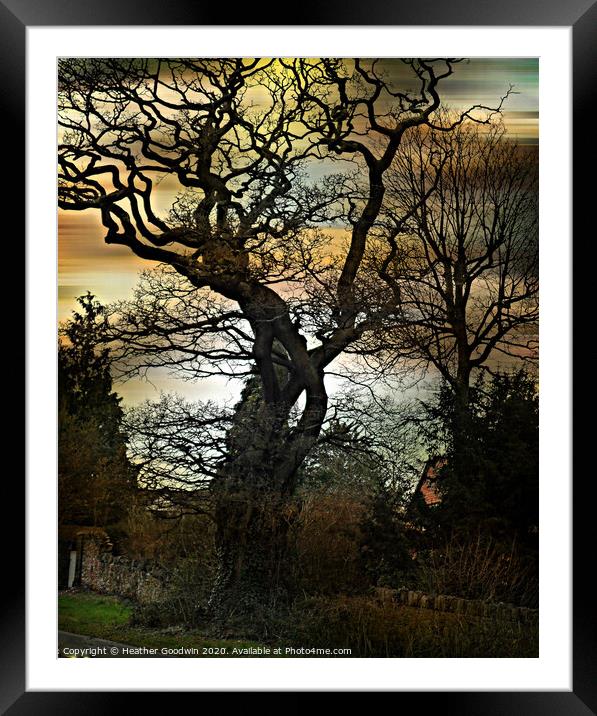 Mighty Oak Framed Mounted Print by Heather Goodwin