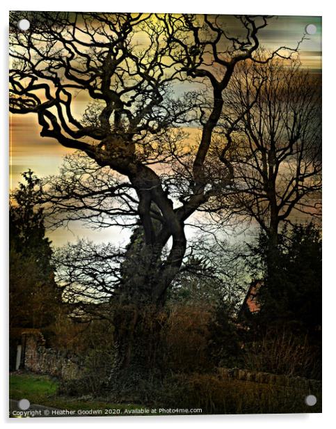 Mighty Oak Acrylic by Heather Goodwin