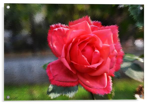 Stylized background with a red rose Acrylic by liviu iordache