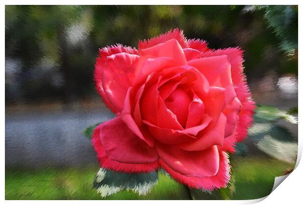 Stylized background with a red rose Print by liviu iordache