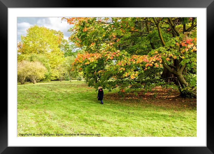 Autumnal Elegance of Cotswold Framed Mounted Print by Holly Burgess