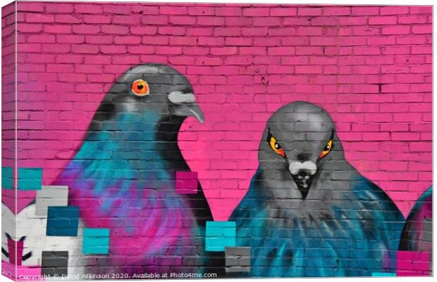 Pigeon gaffiti  Canvas Print by David Atkinson