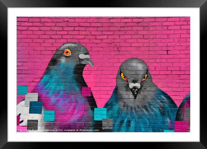 Pigeon gaffiti  Framed Mounted Print by David Atkinson