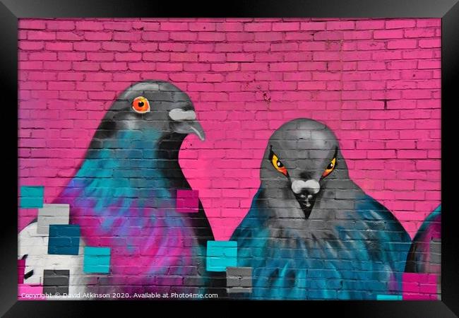 Pigeon gaffiti  Framed Print by David Atkinson