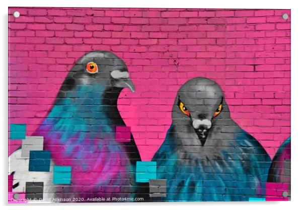 Pigeon gaffiti  Acrylic by David Atkinson