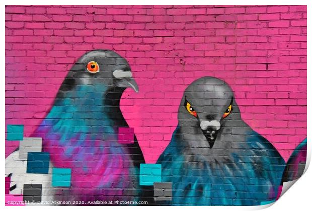 Pigeon gaffiti  Print by David Atkinson