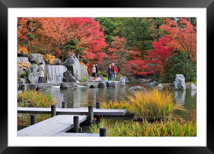 Japanese Garden in Autumn Framed Mounted Print by Arterra 