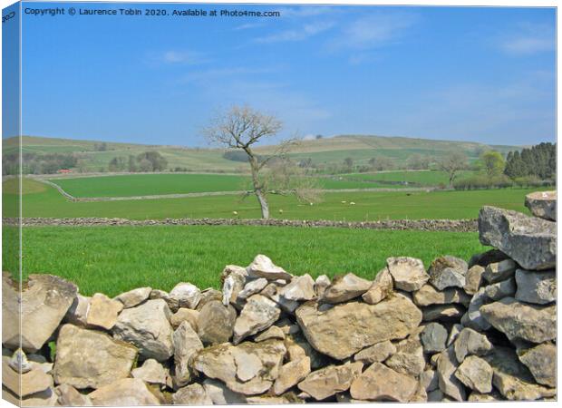 Yorkshire Stone Walls and Fields Canvas Print by Laurence Tobin