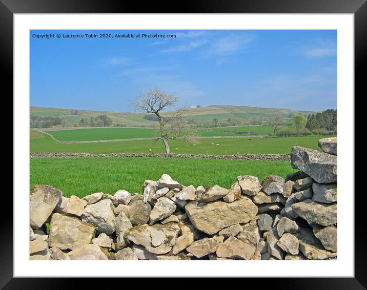 Yorkshire Stone Walls and Fields Framed Mounted Print by Laurence Tobin
