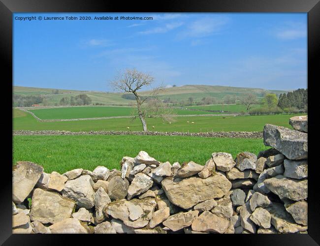 Yorkshire Stone Walls and Fields Framed Print by Laurence Tobin
