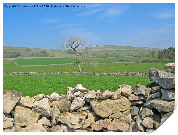 Yorkshire Stone Walls and Fields Print by Laurence Tobin