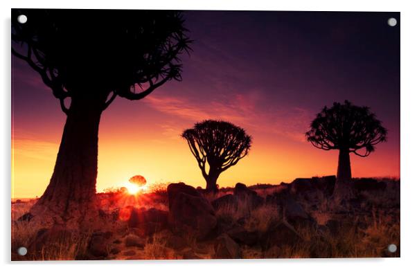 Quiver Trees at Sunset, Namibia Acrylic by Arterra 
