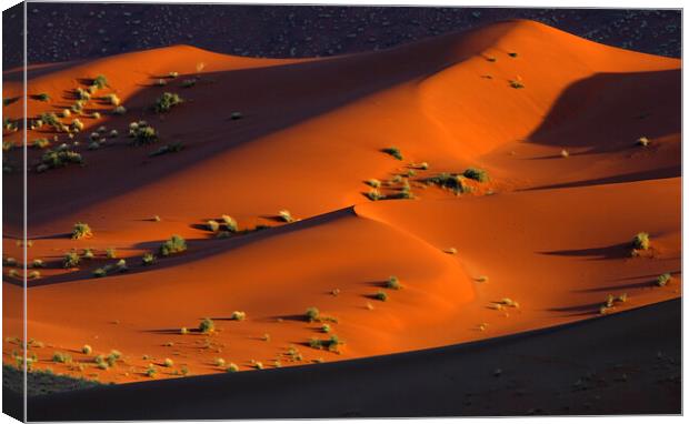 Sossusvlei in the Namib Desert Canvas Print by Arterra 