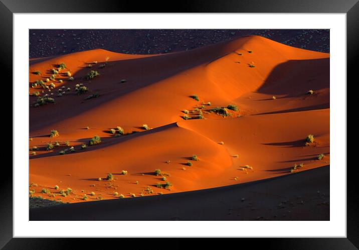Sossusvlei in the Namib Desert Framed Mounted Print by Arterra 