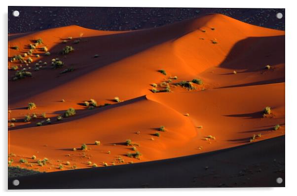 Sossusvlei in the Namib Desert Acrylic by Arterra 