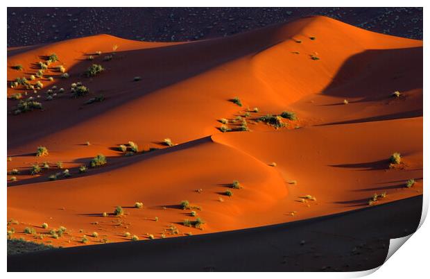 Sossusvlei in the Namib Desert Print by Arterra 