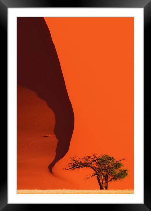 Tree and Red Sand Dune  Framed Mounted Print by Arterra 