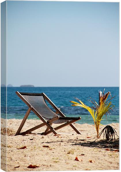 Seat in Paradise Canvas Print by Heath Birrer