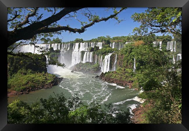 Iguazu Falls / Iguassu Falls Framed Print by Arterra 