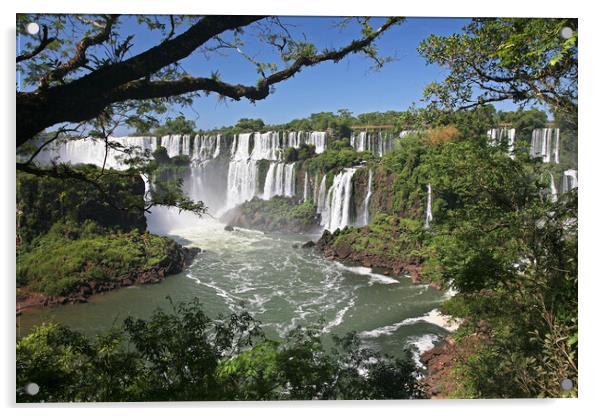 Iguazu Falls / Iguassu Falls Acrylic by Arterra 