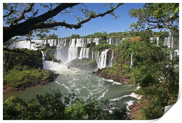 Iguazu Falls / Iguassu Falls Print by Arterra 