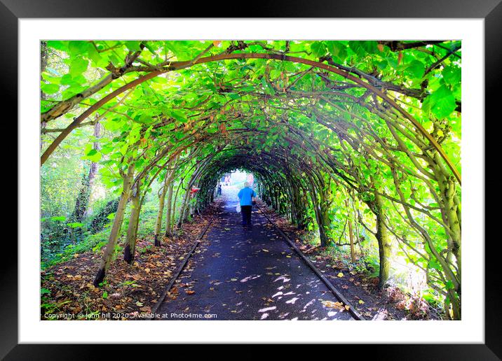 Tree Tunnel at Christchurch in Dorset. Framed Mounted Print by john hill