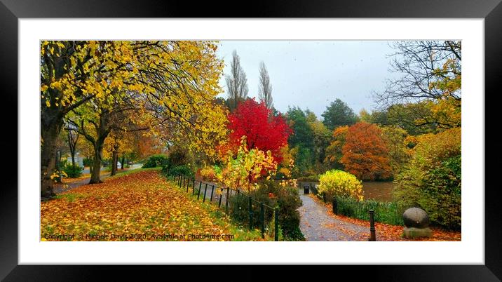 Autumn trees Framed Mounted Print by Michele Davis