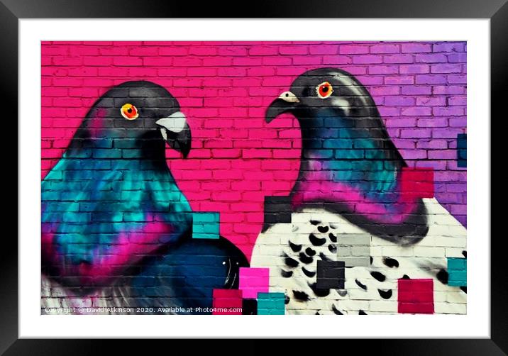 Pigeon art Framed Mounted Print by David Atkinson