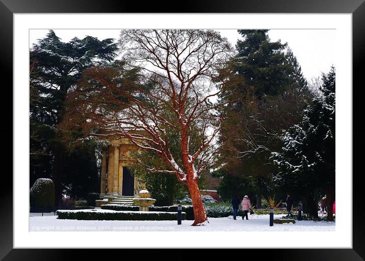 Winter in Jephson Gardens Framed Mounted Print by David Atkinson
