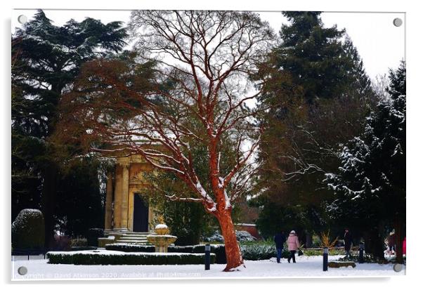 Winter in Jephson Gardens Acrylic by David Atkinson