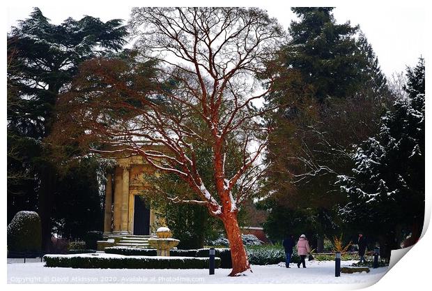 Winter in Jephson Gardens Print by David Atkinson