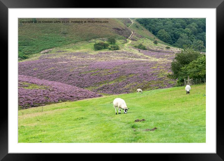Heather in the Yorkshire dales Framed Mounted Print by Jo Sowden