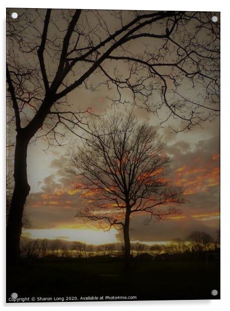 The Tree Of Life Acrylic by Photography by Sharon Long 