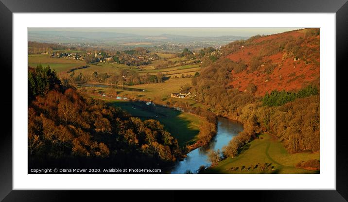Symonds Yat From the Rock Framed Mounted Print by Diana Mower