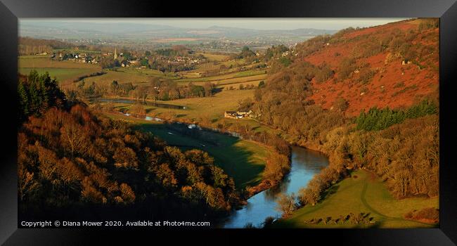 Symonds Yat From the Rock Framed Print by Diana Mower