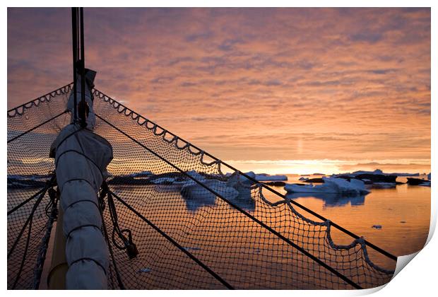 Sailing at Sunset, Antarctica Print by Arterra 