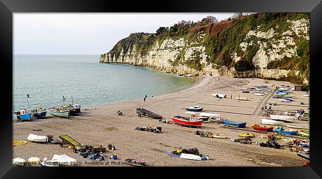 Beer East Devon Framed Print by Peter F Hunt